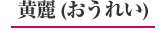 黄麗（おうれい）